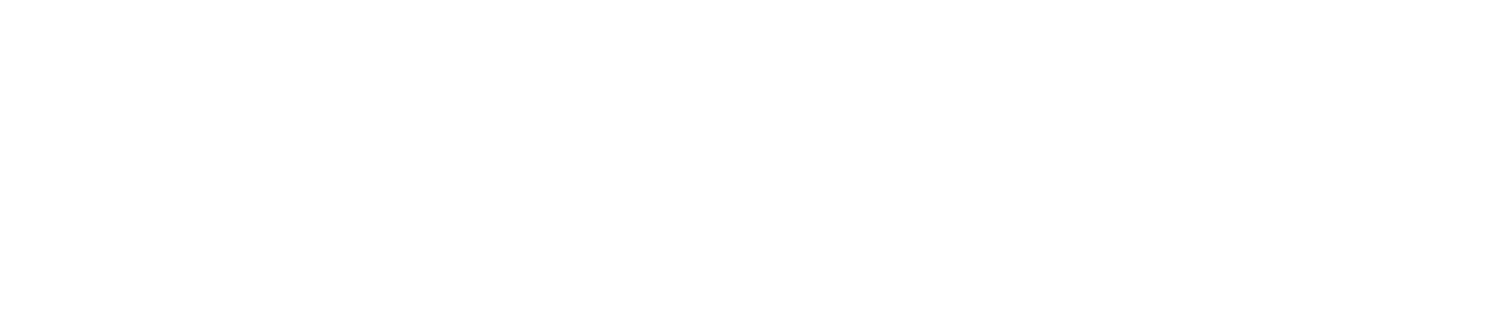 Alliance Detalhamento Premium